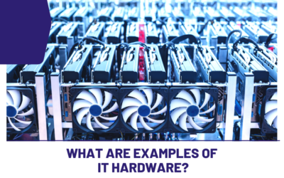 What are Examples of IT Hardware?