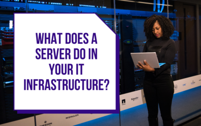 What does a server do in your IT infrastructure?